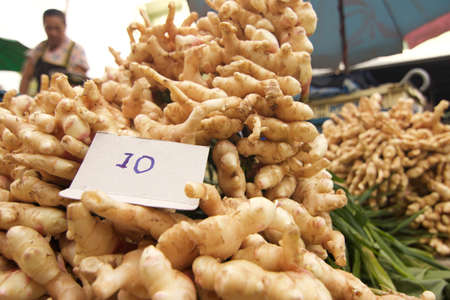 Thai ginger food Ingredients in the Market.のeditorial素材