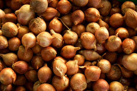 Set of many Shallots
