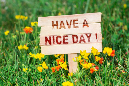 have a nice day wooden sign in grass with flowersの写真素材
