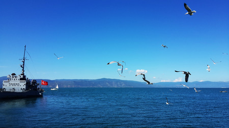 battleship and seagullsのeditorial素材