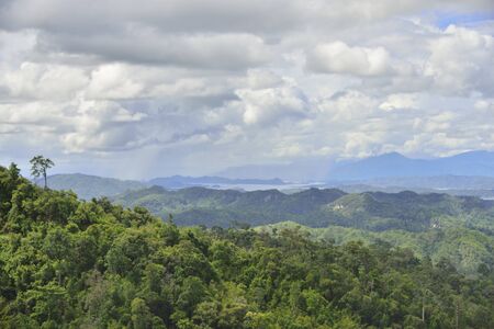 Forest Of Thailand with Landscape Viewの写真素材