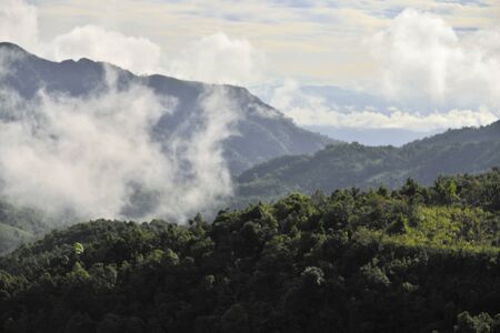Landscape of green mountain view with Blur style : provide for insert into background base layerの写真素材