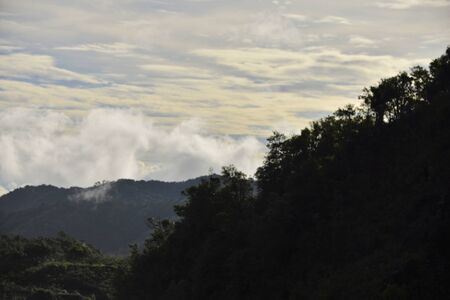 Landscape of green mountain view with Blur style : provide for insert into background base layerの写真素材