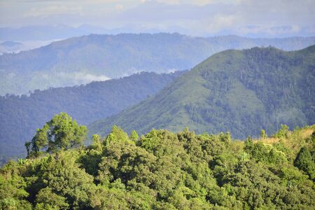 Landscape of green mountain view with Blur style : provide for insert into background base layerの写真素材