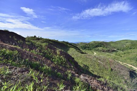 Landscape of green mountain view with Blur style : provide for insert into background base layerの写真素材