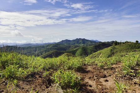 Landscape of green mountain view with Blur style : provide for insert into background base layerの写真素材