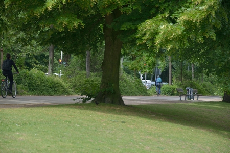 HUMBERG ,GERMANY- 11 June 2018 , Alsterwiese Schwanenwik pack and good place popular in Germanyのeditorial素材