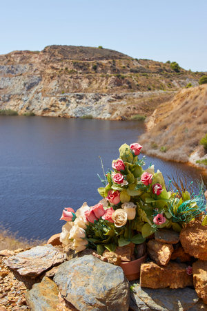 Flowers in red lake of cartagena