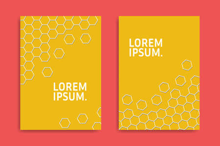 Minimal Cover Design template with Hexagon lines modern different style on background for brochure catalog poster book magazine. Creative Vector graphic Illustration.のイラスト素材