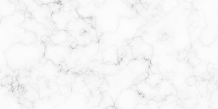 A detailed close-up of a white marble surface featuring intricate grey veins forming an organic, flowing pattern.のイラスト素材