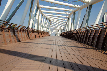 unusual design bridge over the dogのeditorial素材