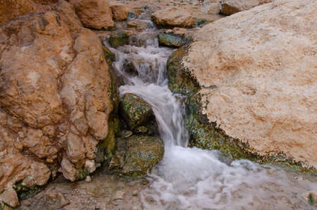 canyon of a river (in spring) or a stream (in all other seasons) fed by the Bokek spring near the beaches of the Dead Seaの写真素材