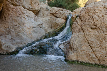 canyon of a river (in spring) or a stream (in all other seasons) fed by the Bokek spring near the beaches of the Dead Seaの写真素材