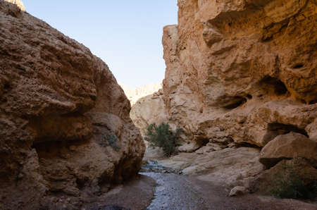 canyon of a river (in spring) or a stream (in all other seasons) fed by the Bokek spring near the beaches of the Dead Seaの写真素材