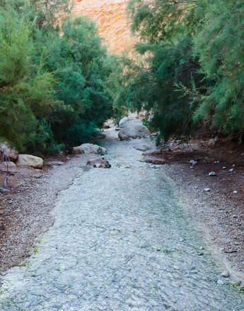 canyon of a river (in spring) or a stream (in all other seasons) fed by the Bokek spring near the beaches of the Dead Seaの写真素材