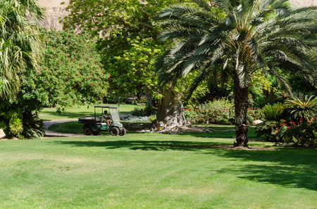 At the heart of Kibbutz Ein Gedi is a magnificent botanical garden that was planted in 1953 and is...