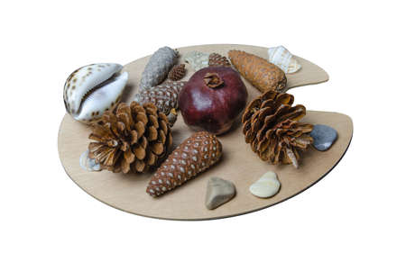 still life on a white background of pomegranate fruit, cones and shells on a plywood palette for mixing paintsの写真素材