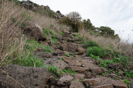 landscapes with mountain views with the remains of ancient buildings on the golan heights in israel in national parksの写真素材