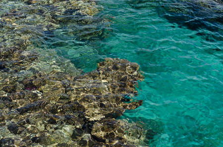 Rocks are seen at the bottom of the Red Sea in clear turquoise sea water near Eilat in Israelの写真素材