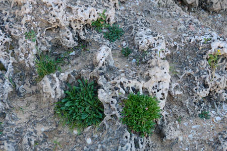 The ruins of a Turkish railway station in the Negev Desert in Israel built more than a hundred years...