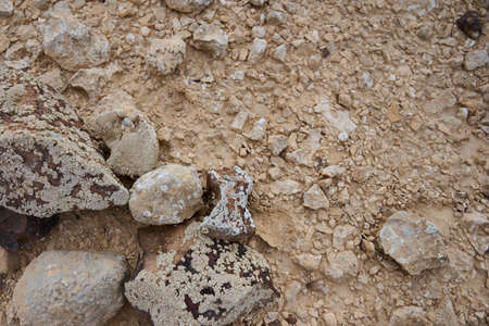 The ruins of a Turkish railway station in the Negev Desert in Israel built more than a hundred years...