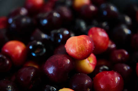 ripe cherries are poured into a bowl close-up