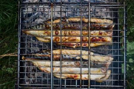 Barbecue of fish in nature in summer