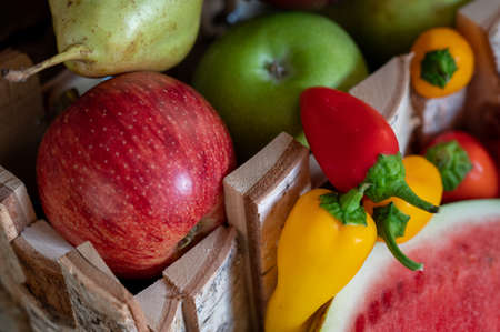 Still life with half a watermelon and autumn fruits and vegetables.の写真素材