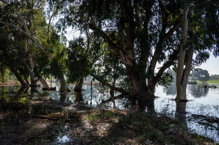 winter lake Park in Netanya in Israelの写真素材