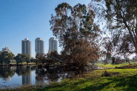 winter lake Park in Netanya in Israelの写真素材