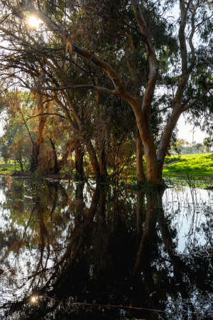 winter lake Park in Netanya in Israelの写真素材