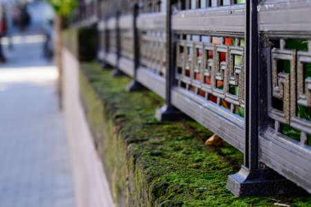Decorative metal fence in flowers on a concrete curb covered with moss in perspectiveの写真素材