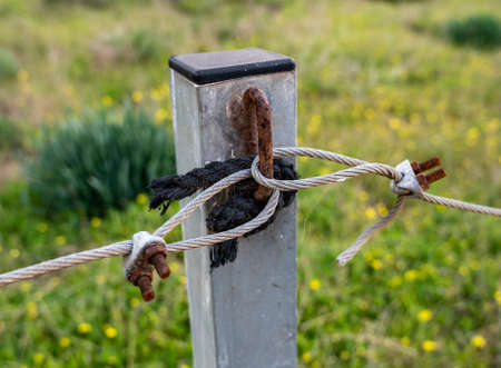 A metal cable is threaded into a ring on a pole arc into the ground to enclose the territory. close-up.の写真素材