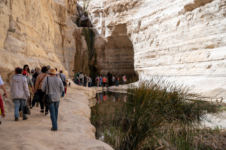 CANYON EIN AVDAT, ISRAEL - MARCH 5, 2022: Tourists walk in Kanyon Ein Avdat in the Negev Desert in Israel.のeditorial素材