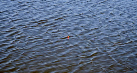Fishing float in the blue water. A bobber floats on the water surface of the lake making circles in the water. top view.の写真素材