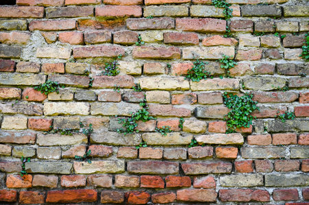 An old brick wall from an abandoned structure surrounded by overgrown greenery in the country side