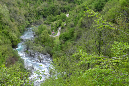 Mountain river flow through forest. Beautiful alpine landscape with azure water in fast river. Power majestic nature of the highlands. High quality photoの写真素材
