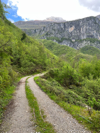Montenegro. Durmitor National Park. Saddle Pass. Alpine meadows. Mountain landscape. Popular tourist spot. High quality photoの写真素材