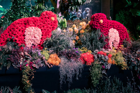 compositions and figures made of flowers at an exhibition in the pavilion in Tel Aviv in Israel. High quality photoの写真素材
