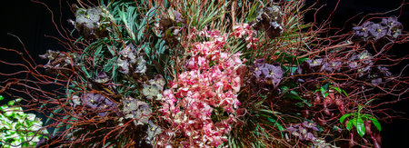 Flower arrangement of rare varieties of orchids. High quality photo