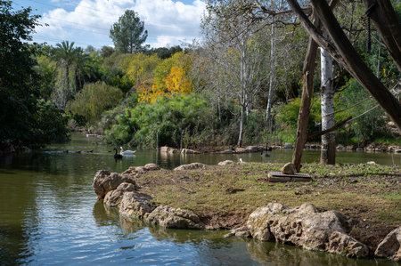 pond in the biblical zoo in Jerusalem Israel. High quality photoの写真素材