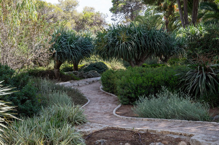 Park Ramat Hanadiv, Memorial Gardens of Baron Edmond de Rothschild, Zichron Yaakov, Israel. High quality photoの写真素材