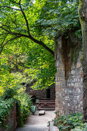 A quiet green corner with a stone wall and wooden benches under lush tree crowns. A narrow paved path leads to a quiet place to rest. High quality photoの写真素材