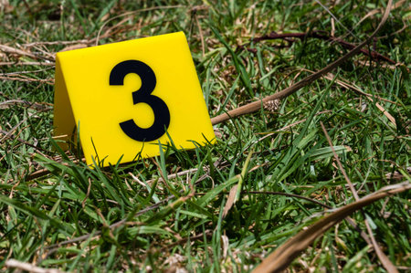 One yellow crime scene marker on green grass. High quality photoの写真素材