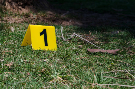 One yellow crime scene marker on green grass. High quality photoの写真素材