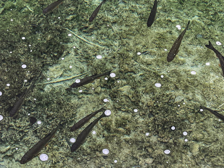 High quality photoの写真素材