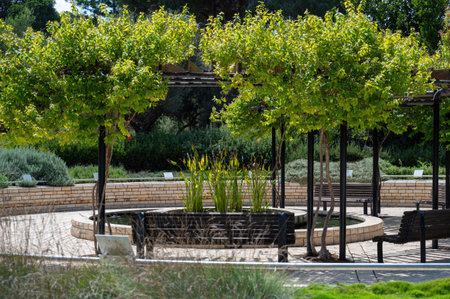Park Ramat Hanadiv, Memorial Gardens of Baron Edmond de Rothschild, Zichron Yaakov, Israel. High...