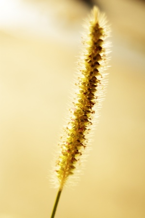 Spainの写真素材