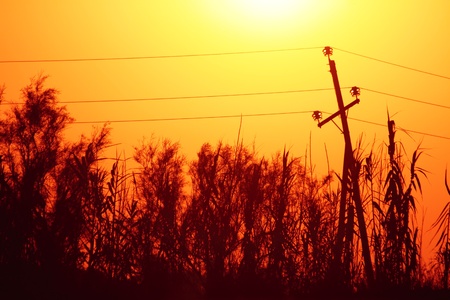 Electrical transmission tower landscape  Energy conceptの写真素材
