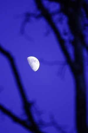 blue moonの写真素材